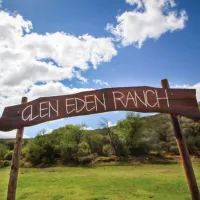 protea-pod-at-glen-eden-r62-ruigtevlei-montagu-birpg