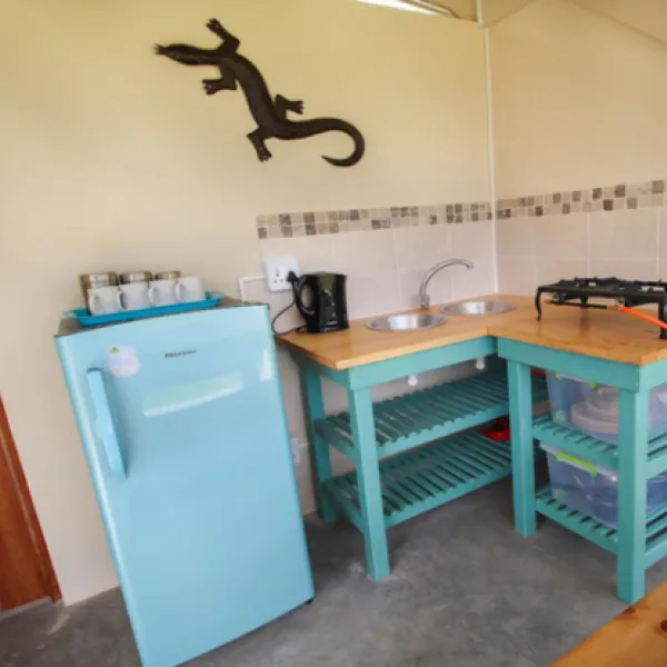 protea-pod-at-glen-eden-r62-ruigtevlei-montagu-cjkfe