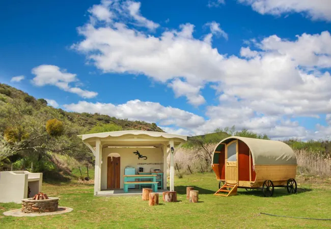 protea-pod-at-glen-eden-r62-ruigtevlei-montagu-eeni9