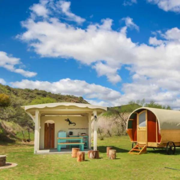 protea-pod-at-glen-eden-r62-ruigtevlei-montagu-eeni9