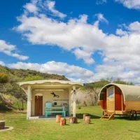 protea-pod-at-glen-eden-r62-ruigtevlei-montagu-eeni9