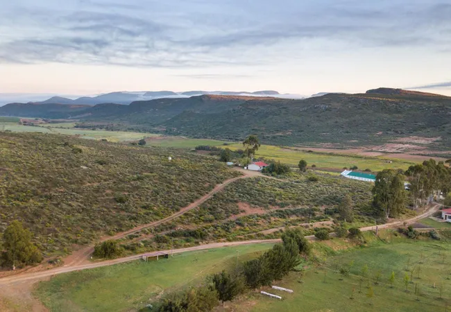 protea-pod-at-glen-eden-r62-ruigtevlei-montagu-ougu1