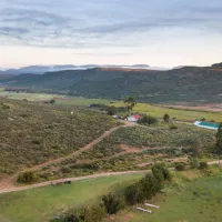 protea-pod-at-glen-eden-r62-ruigtevlei-montagu-ougu1