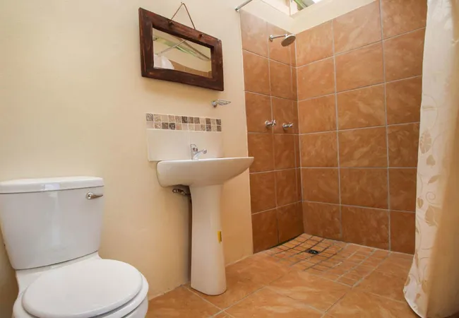 protea-pod-at-glen-eden-r62-ruigtevlei-montagu-wrb0u