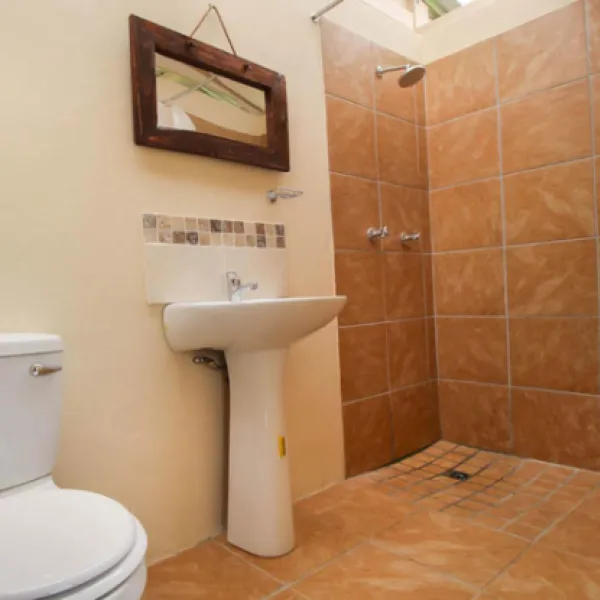 protea-pod-at-glen-eden-r62-ruigtevlei-montagu-wrb0u