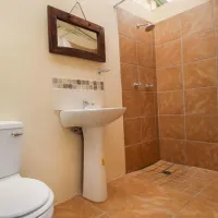 protea-pod-at-glen-eden-r62-ruigtevlei-montagu-wrb0u
