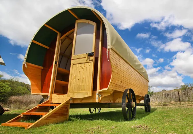protea-pod-at-glen-eden-r62-ruigtevlei-montagu-yze1n