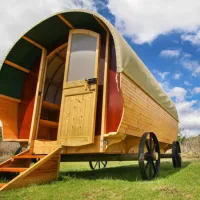 protea-pod-at-glen-eden-r62-ruigtevlei-montagu-yze1n