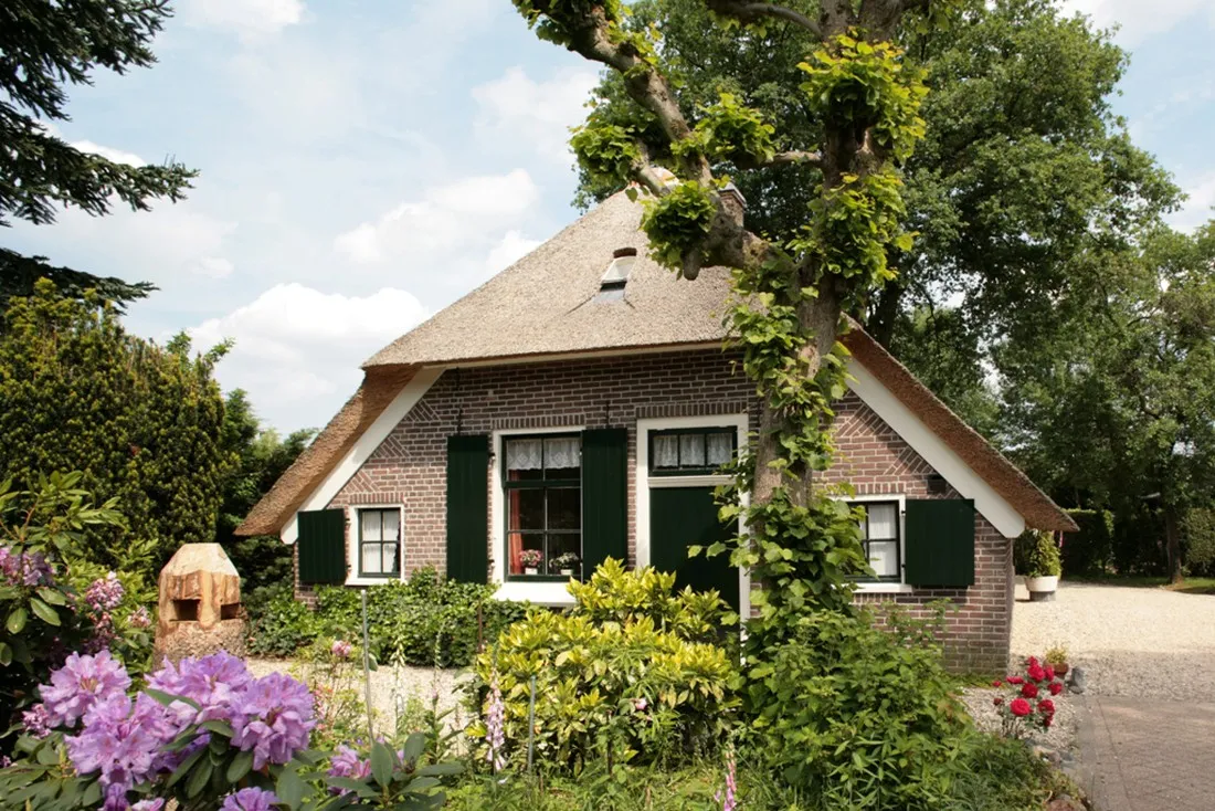 de-bosrand-ermelo-r73yy