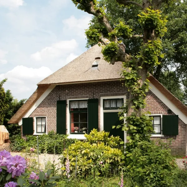 de-bosrand-ermelo-r73yy