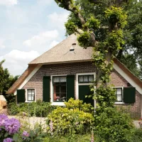 de-bosrand-ermelo-r73yy