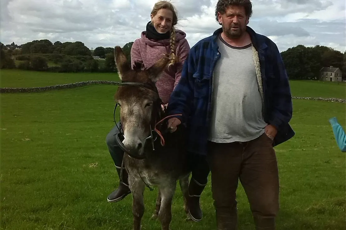 green-hills-farm-stay-kilconnell-ballinasloe-a5jta