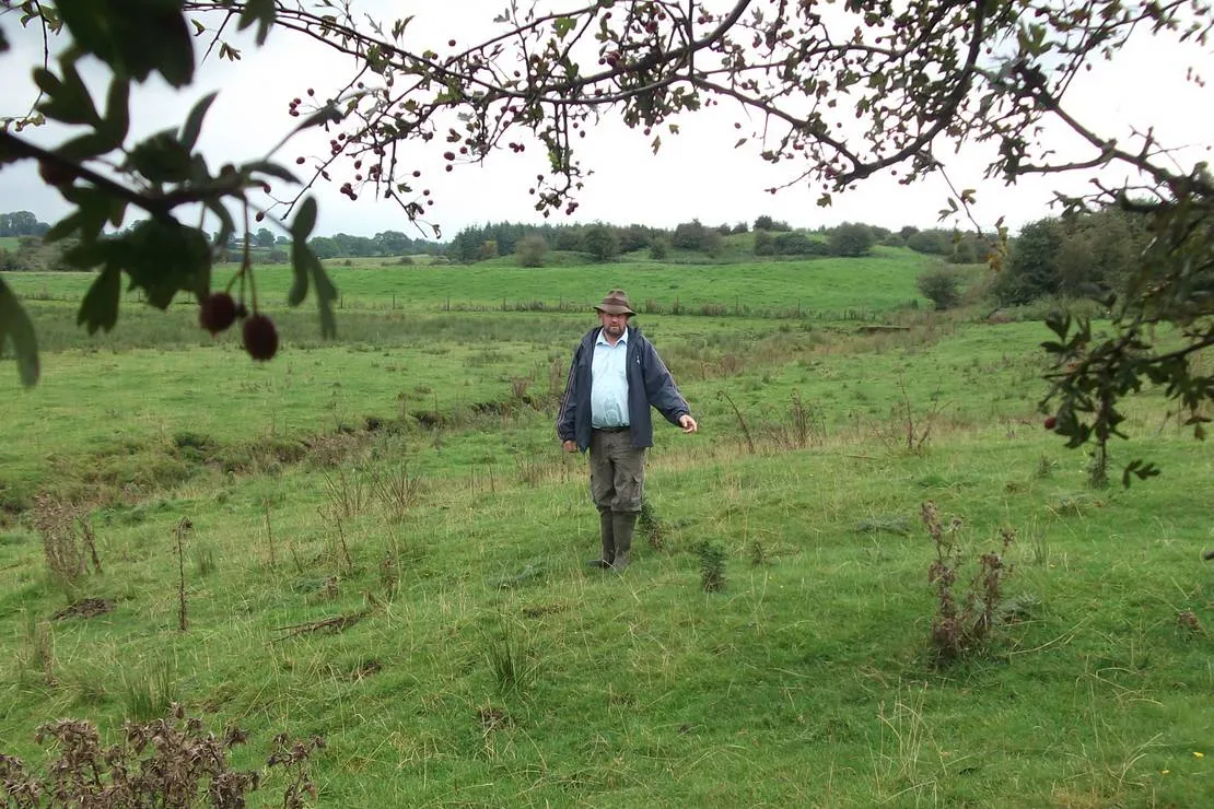 green-hills-farm-stay-kilconnell-ballinasloe-dll1q