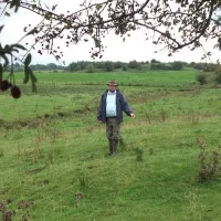 green-hills-farm-stay-kilconnell-ballinasloe-dll1q