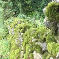 green-hills-farm-stay-kilconnell-ballinasloe-jzjrz