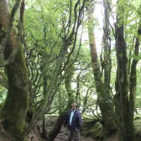 green-hills-farm-stay-kilconnell-ballinasloe-kqgmv