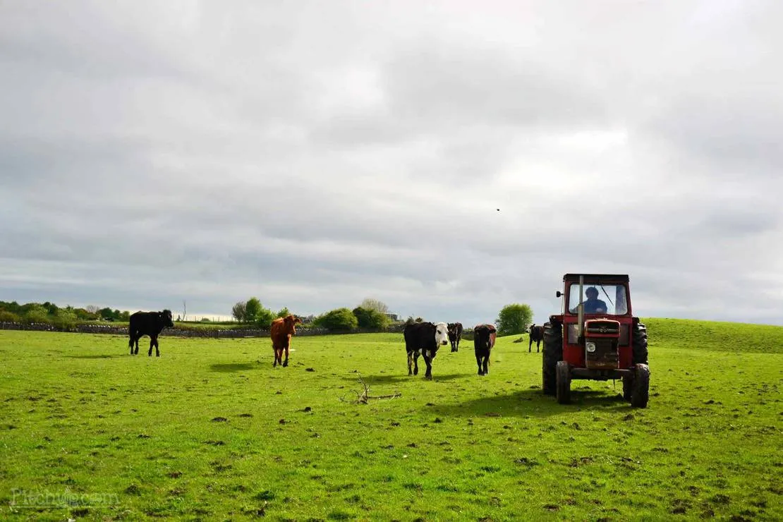 green-hills-farm-stay-kilconnell-ballinasloe-ktzld