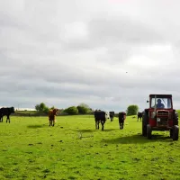 green-hills-farm-stay-kilconnell-ballinasloe-ktzld