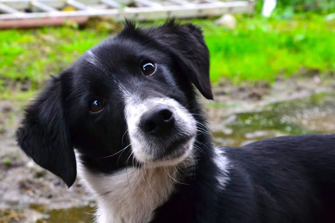 green-hills-farm-stay-kilconnell-ballinasloe-kwktj