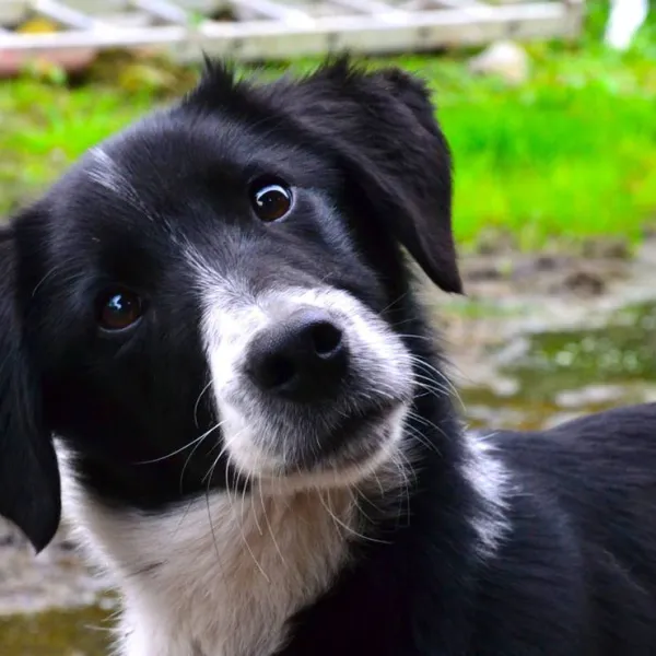 green-hills-farm-stay-kilconnell-ballinasloe-kwktj
