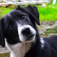 green-hills-farm-stay-kilconnell-ballinasloe-kwktj