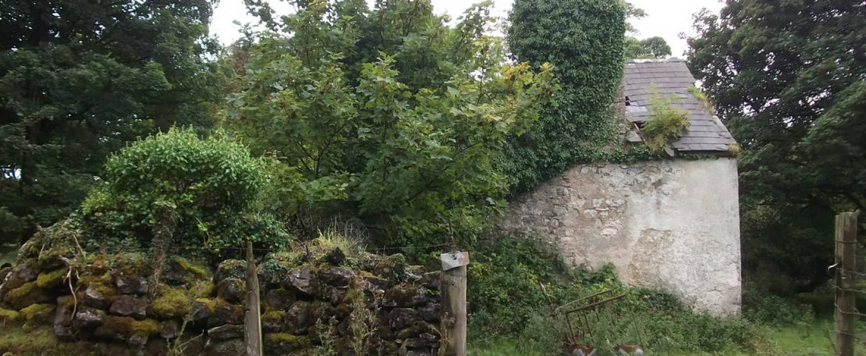 Green Hills Farm Stay