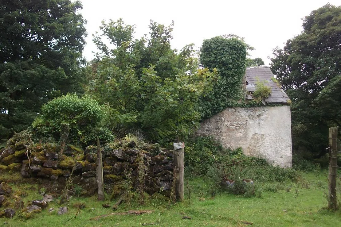 green-hills-farm-stay-kilconnell-ballinasloe-mmwwz