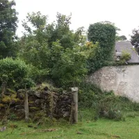 green-hills-farm-stay-kilconnell-ballinasloe-mmwwz