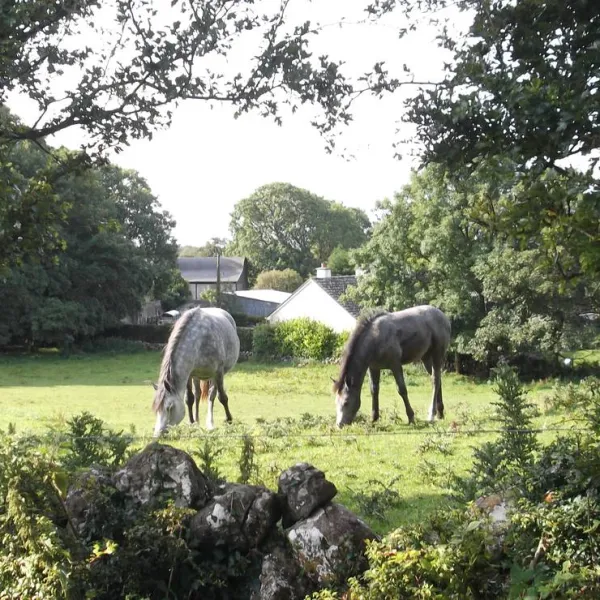 green-hills-farm-stay-kilconnell-ballinasloe-mwa9u