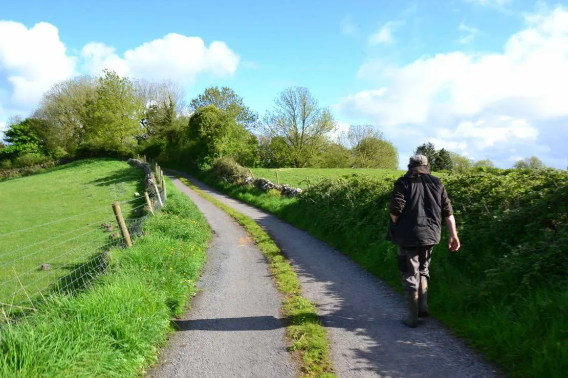 green-hills-farm-stay-kilconnell-ballinasloe-pcdtf