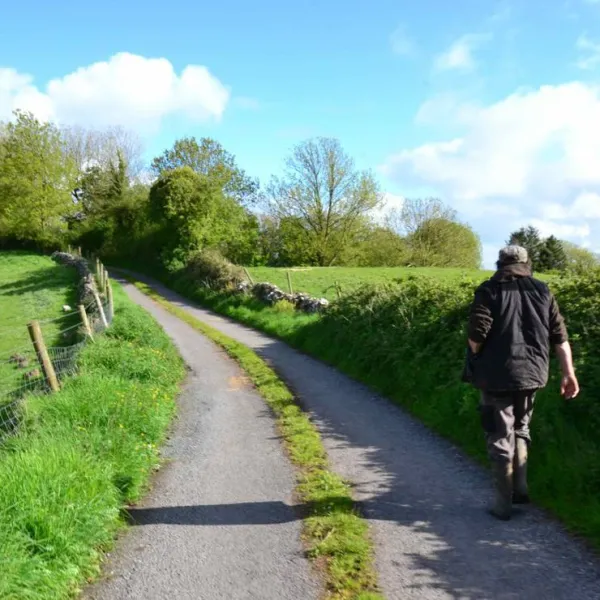 green-hills-farm-stay-kilconnell-ballinasloe-pcdtf