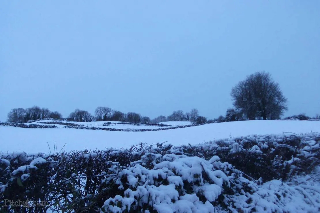 green-hills-farm-stay-kilconnell-ballinasloe-qsu0b