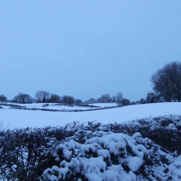 green-hills-farm-stay-kilconnell-ballinasloe-qsu0b