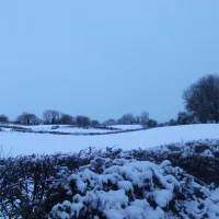 green-hills-farm-stay-kilconnell-ballinasloe-qsu0b