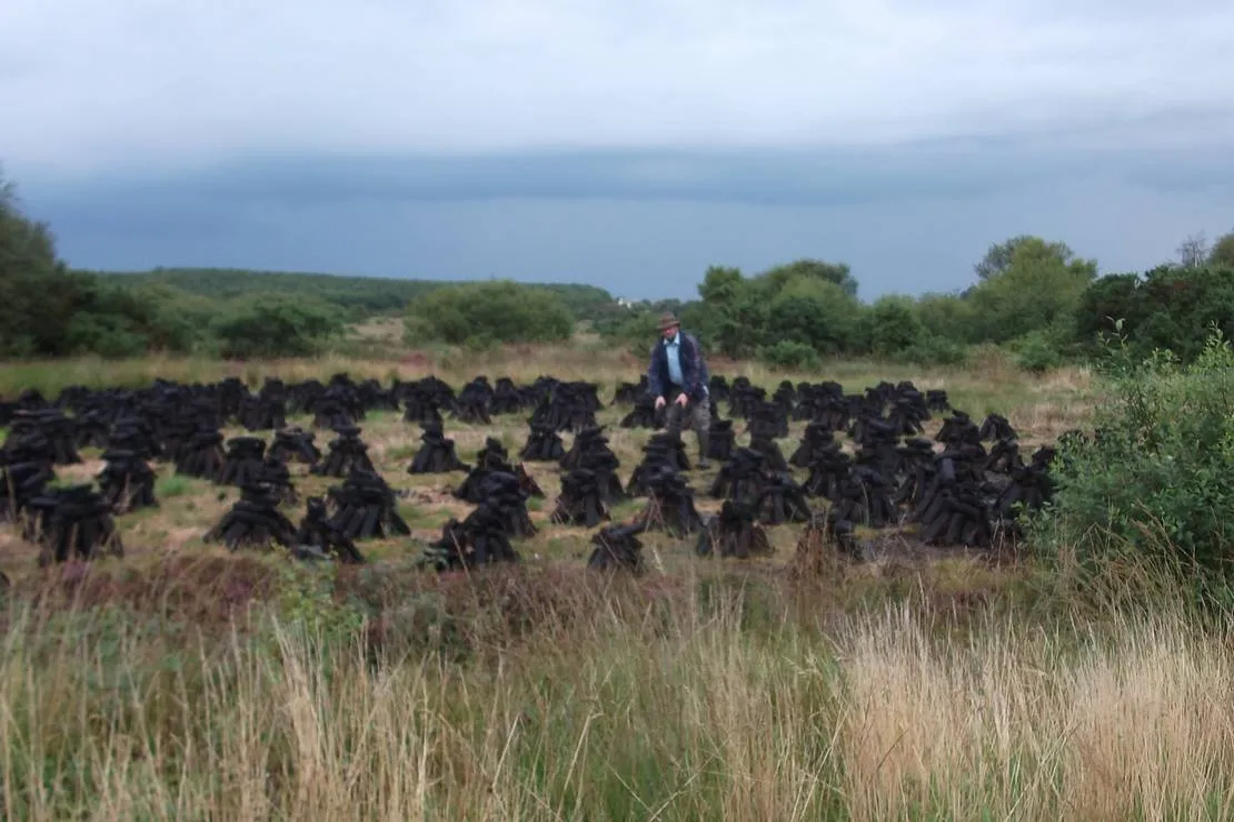 green-hills-farm-stay-kilconnell-ballinasloe-u4l1a