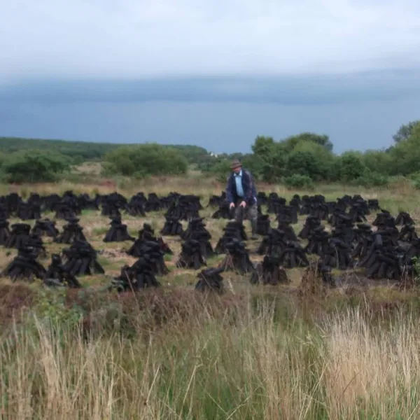 green-hills-farm-stay-kilconnell-ballinasloe-u4l1a