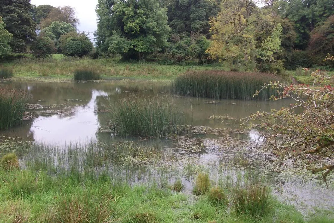 green-hills-farm-stay-kilconnell-ballinasloe-ym6md
