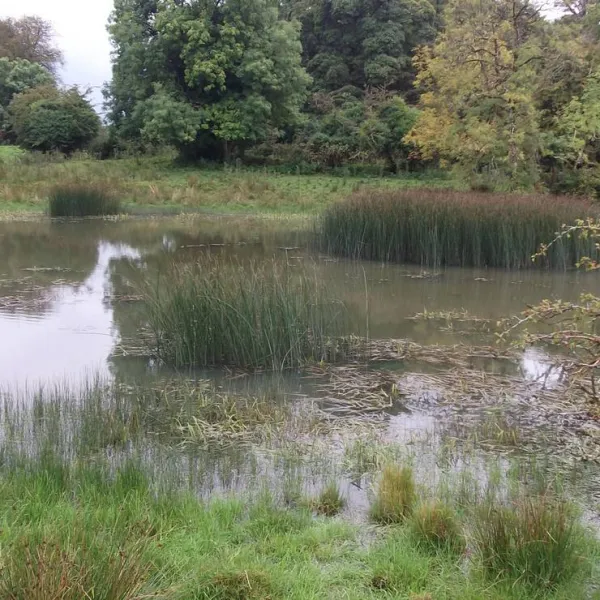green-hills-farm-stay-kilconnell-ballinasloe-ym6md