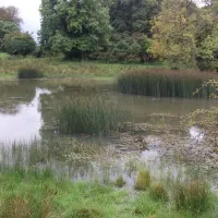 green-hills-farm-stay-kilconnell-ballinasloe-ym6md