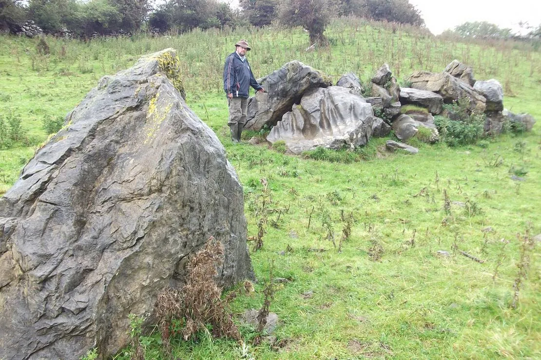 green-hills-farm-stay-kilconnell-ballinasloe-zptqj
