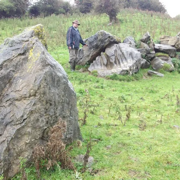 green-hills-farm-stay-kilconnell-ballinasloe-zptqj
