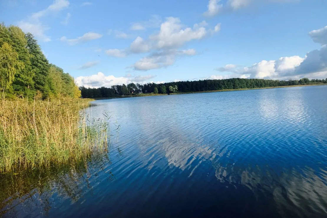campingplatz-am-garder-see-gmbh-lohmen-ef4ce