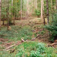 campingplatz-am-garder-see-gmbh-lohmen-jutet