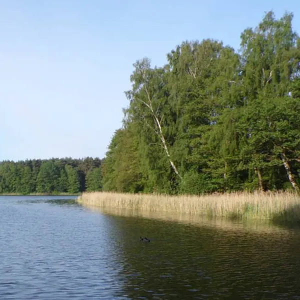 campingplatz-am-garder-see-gmbh-lohmen-xeqjh