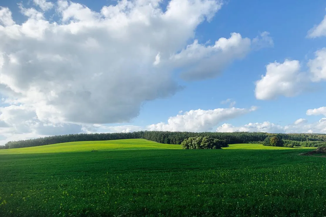campingplatz-am-garder-see-gmbh-lohmen-zpqjz