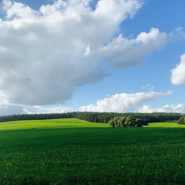 campingplatz-am-garder-see-gmbh-lohmen-zpqjz