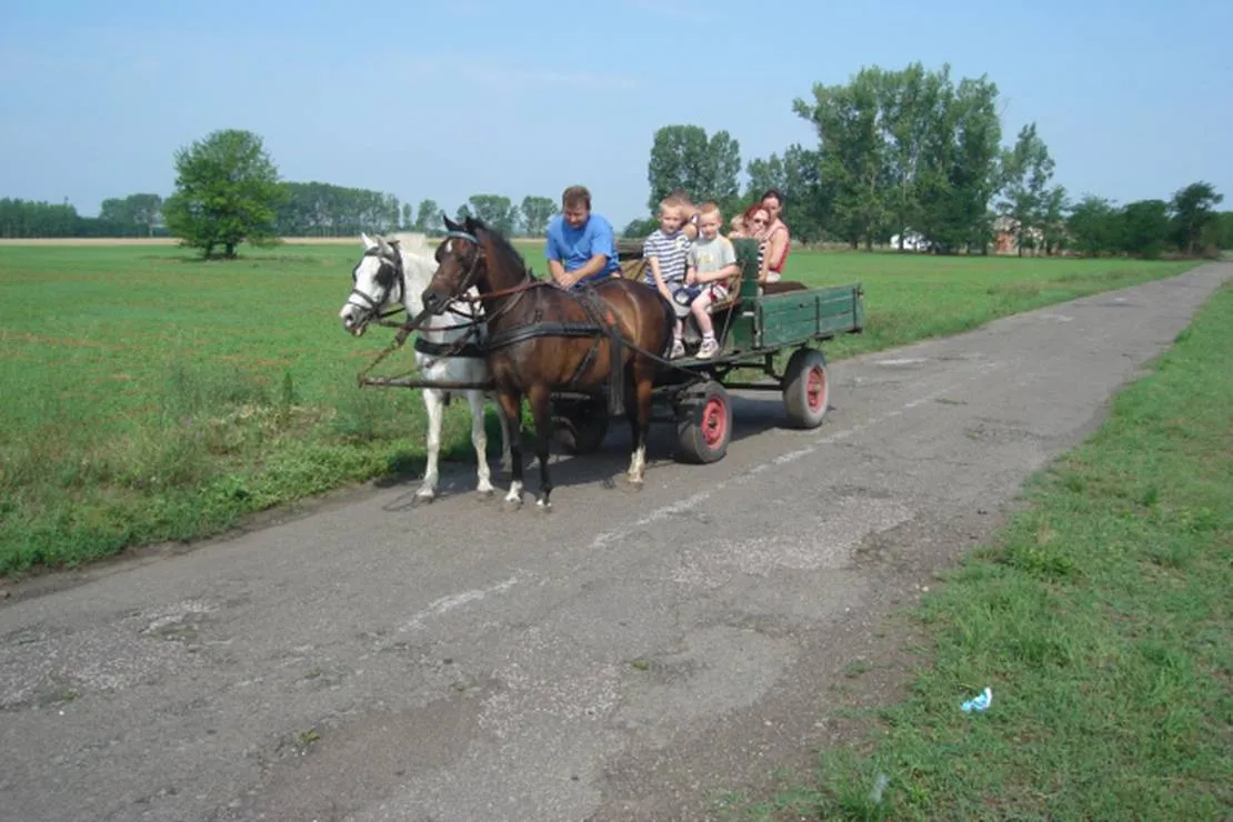 hongarije-poesta-mini-camping-tiszakecske-iffdj