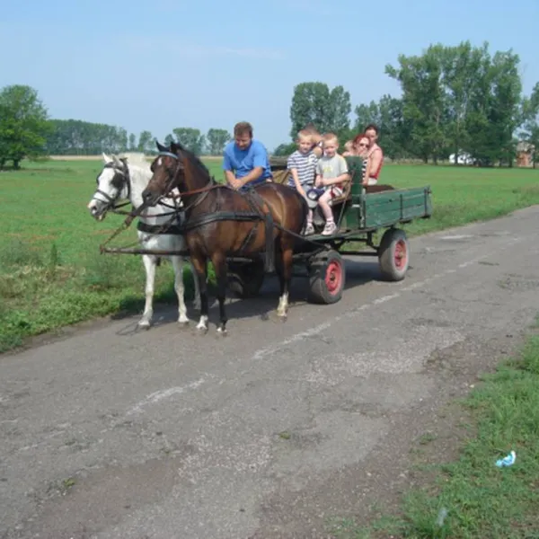 hongarije-poesta-mini-camping-tiszakecske-iffdj