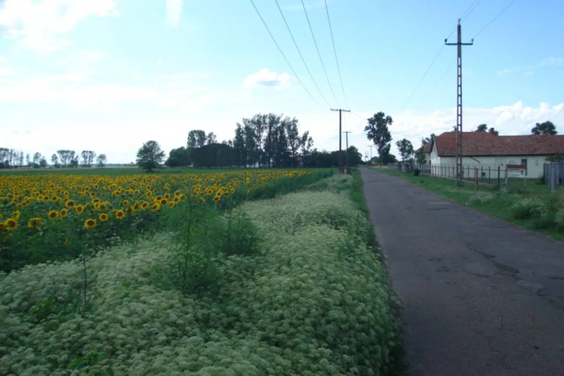 hongarije-poesta-mini-camping-tiszakecske-rg6wx