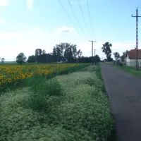 hongarije-poesta-mini-camping-tiszakecske-rg6wx